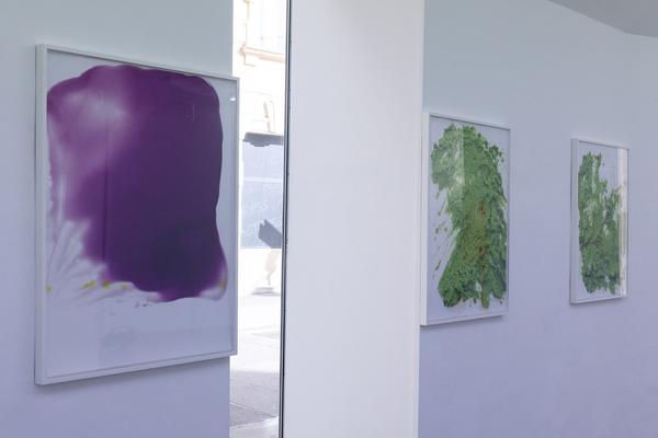 Galerie Emanuel Layr: Lisa Holzer - I come in you (21.3. - 5.5.2018) https://esel.at/termin/95517 | Foto: eSeL Foto: eSeL.at - Lorenz Seidler