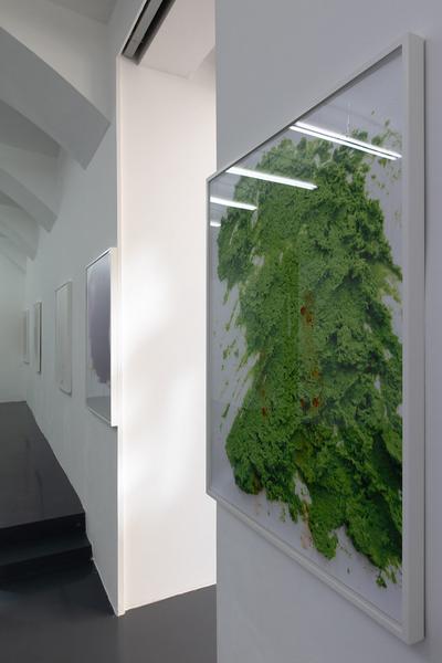 Galerie Emanuel Layr: Lisa Holzer - I come in you (21.3. - 5.5.2018) https://esel.at/termin/95517 | Foto: eSeL Foto: eSeL.at - Lorenz Seidler