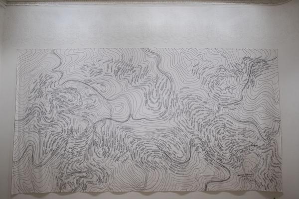 Galerie Krinzinger: Lois Weinberger - Die Rückseite der Landschaft (20.11.2018 - 19.1.2019) https://esel.at/termin/99065/lois-weinberger-die-ruckseite-der-landschaft | Foto: eSeL Foto: eSeL.at - Lorenz Seidler