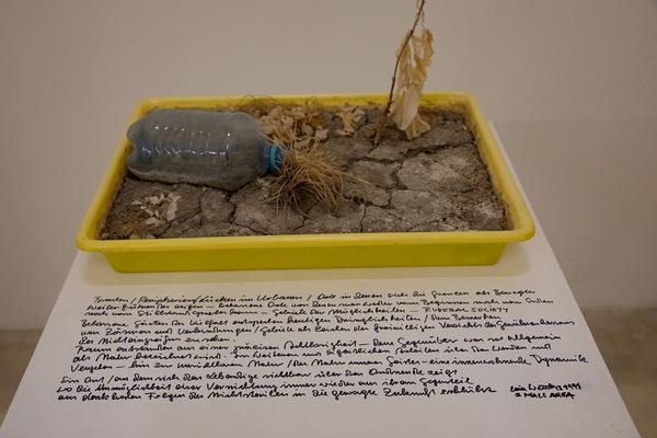 Galerie Krinzinger: Lois Weinberger - Die Rückseite der Landschaft (20.11.2018 - 19.1.2019) https://esel.at/termin/99065/lois-weinberger-die-ruckseite-der-landschaft | Foto: eSeL Foto: eSeL.at - Lorenz Seidler