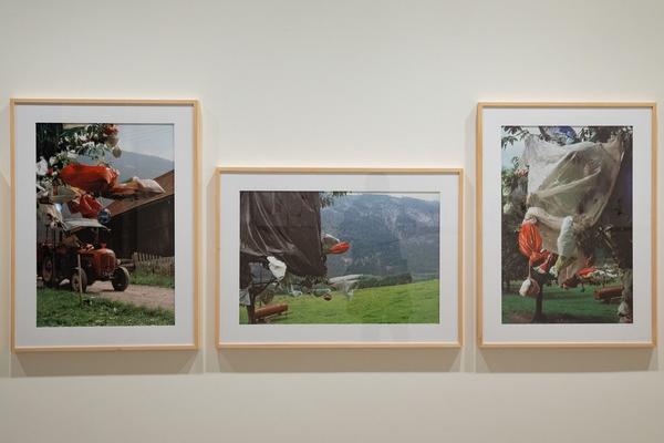 Galerie Krinzinger: Lois Weinberger - Die Rückseite der Landschaft (20.11.2018 - 19.1.2019) https://esel.at/termin/99065/lois-weinberger-die-ruckseite-der-landschaft | Foto: eSeL Foto: eSeL.at - Lorenz Seidler