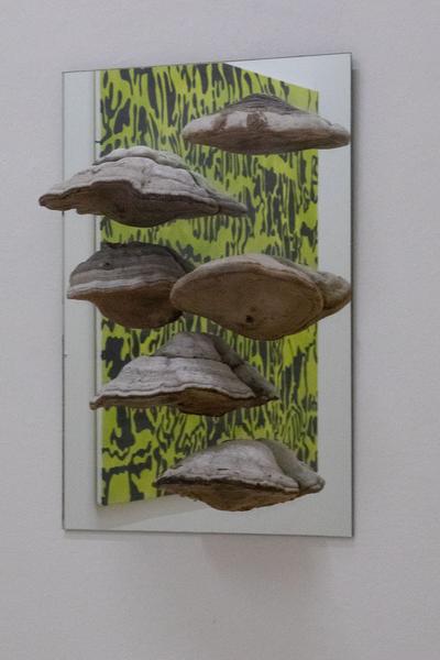Galerie Krinzinger: Lois Weinberger - Die Rückseite der Landschaft (20.11.2018 - 19.1.2019) https://esel.at/termin/99065/lois-weinberger-die-ruckseite-der-landschaft | Foto: eSeL Foto: eSeL.at - Lorenz Seidler