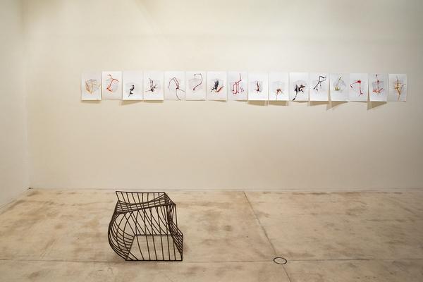 Galerie Krinzinger: Lois Weinberger - Die Rückseite der Landschaft (20.11.2018 - 19.1.2019) https://esel.at/termin/99065/lois-weinberger-die-ruckseite-der-landschaft | Foto: eSeL Foto: eSeL.at - Lorenz Seidler