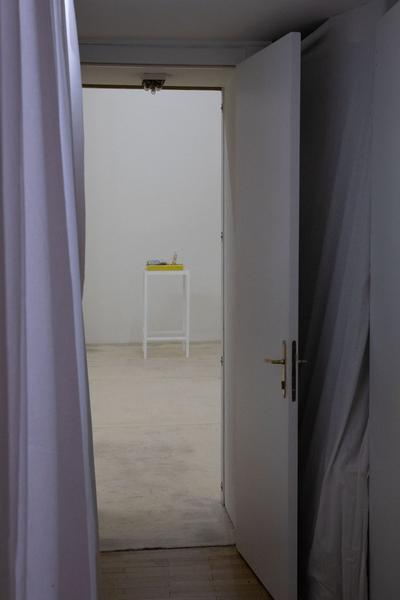 Galerie Krinzinger: Lois Weinberger - Die Rückseite der Landschaft (20.11.2018 - 19.1.2019) https://esel.at/termin/99065/lois-weinberger-die-ruckseite-der-landschaft | Foto: eSeL Foto: eSeL.at - Lorenz Seidler