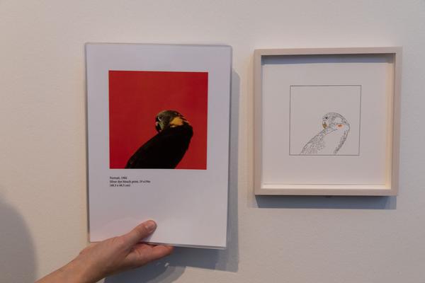Sammlung Verbund: Louise Lawler - She´s Here (15.11.2018 - 20.4.2019, Presspreview) https://esel.cc/SammlungVerbund | Foto: eSeL Foto: eSeL.at - Lorenz Seidler