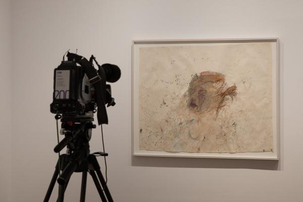 Albertina: Martha Jungwirth (2.3. - 3.6.2018) https://albertina.at/ausstellungen/jungwirth | Foto: eSeL Foto: eSeL.at - Lorenz Seidler