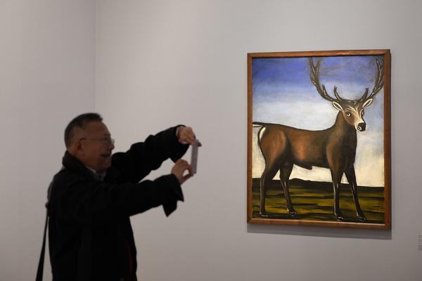 Albertina: Niko Pirosmani (25.10.2018 - 27.1.2019, Pressekonferenz) https://www.albertina.at/ausstellungen/niko-pirosmani | Foto: eSeL Foto: eSeL.at - Lorenz Seidler