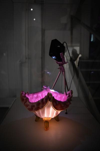 das weisse Haus: Nives Widauer - Blanche (Eröffnung) https://2018.viennaartweek.at/de/program/eroeffnung-nives-widauer-blanche | Foto: eSeL Foto: eSeL.at - Lorenz Seidler