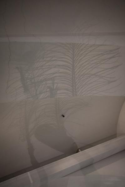 das weisse haus: Eröffnungen „Oh…fabelhaft“ & „One Day You Will Miss Me“ - Julia Gaisbacher (Eröffnung: 24.9.2018) http://w.dasweissehaus.at | Foto: eSeL Foto: eSeL.at - Lorenz Seidler