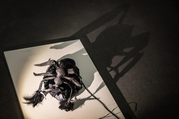 das weisse haus: Eröffnungen „Oh…fabelhaft“ & „One Day You Will Miss Me“ - Julia Gaisbacher (Eröffnung: 24.9.2018) http://w.dasweissehaus.at | Foto: eSeL Foto: eSeL.at - Lorenz Seidler