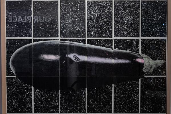 Naturhistorisches Museum: Our Place in Space. Astronomie und Kunst im Dialog (25.6.2018) https://esel.at/termin/97244 | Foto: eSeL Foto: eSeL.at - Lorenz Seidler
