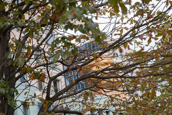 Parallel Vienna (25. - 30.9.2018, Lassallestraße 1, 1020 Wien) https://esel.me/termin/98204 | Foto: eSeL Foto: eSeL.at - Lorenz Seidler