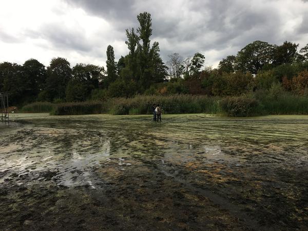 Raumlabor Berlin: Floating University  - Final Weekend (15 & 16.9.2018, Berlin Tempelhof) http://www.floatinguniversity.org | Foto: eSeL