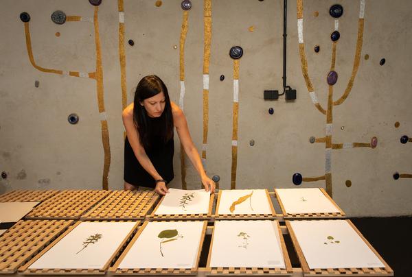 Kunst Haus Wien: Resanita. Das Haus als Wirt (21.06.-07.10.18, Pressepreview) http://www.kunsthauswien.com/de/ausstellungen/resanita | Foto: eSeL Foto: eSeL.at - Lorenz Seidler