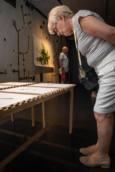 Kunst Haus Wien: Resanita. Das Haus als Wirt (21.06.-07.10.18, Pressepreview) http://www.kunsthauswien.com/de/ausstellungen/resanita | Foto: eSeL Foto: eSeL.at - Lorenz Seidler