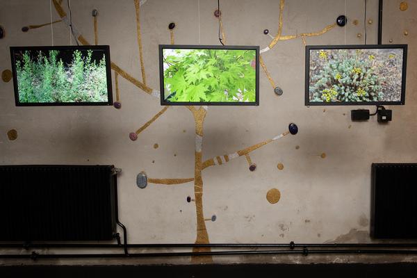 Kunst Haus Wien: Resanita. Das Haus als Wirt (21.06.-07.10.18, Pressepreview) http://www.kunsthauswien.com/de/ausstellungen/resanita | Foto: eSeL Foto: eSeL.at - Lorenz Seidler