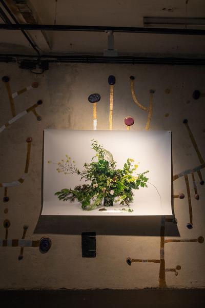 Kunst Haus Wien: Resanita. Das Haus als Wirt (21.06.-07.10.18, Pressepreview) http://www.kunsthauswien.com/de/ausstellungen/resanita | Foto: eSeL Foto: eSeL.at - Lorenz Seidler