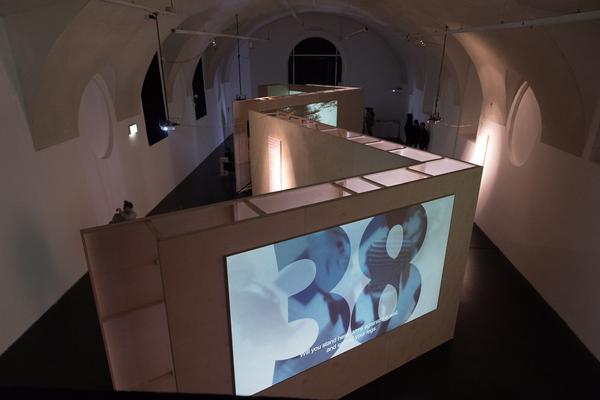 frei_raum Q21: Shaping Democracy - the republic in 24 frames per century (22.03. - 03.06.2018) https://esel.at/termin/95431 | Foto: eSeL Foto: eSeL.at - Lorenz Seidler