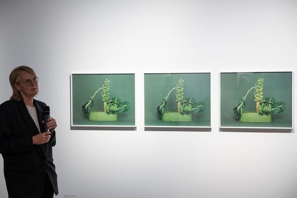 Kunst Haus Wien: Stillleben (13.09.2018-17.02.2019, Pressekonferenz) https://esel.at/termin/94336 | Foto: eSeL.at Foto: eSeL.at - Lorenz Seidler