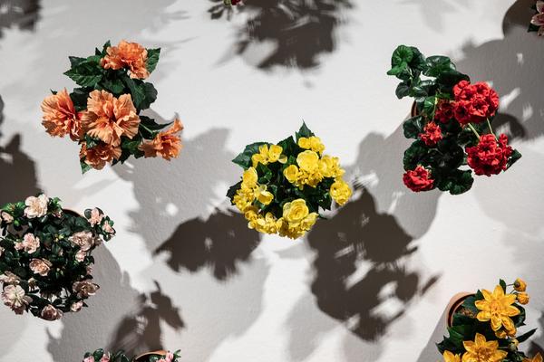 Kunst Haus Wien: Stillleben (13.09.2018-17.02.2019, Pressekonferenz) https://esel.at/termin/94336 | Foto: eSeL.at Foto: eSeL.at - Lorenz Seidler