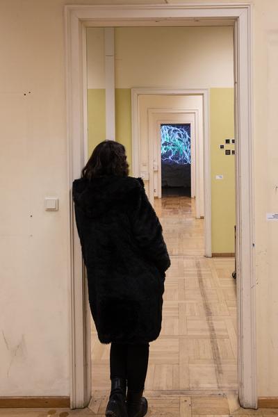 The Essence 2018 - Universität für angewandte Kunst (21. - 25.11.2018, Preview) https://2018.viennaartweek.at/de/program/eroeffnung-the-essence-18 | Foto: eSeL Foto: eSeL.at - Lorenz Seidler