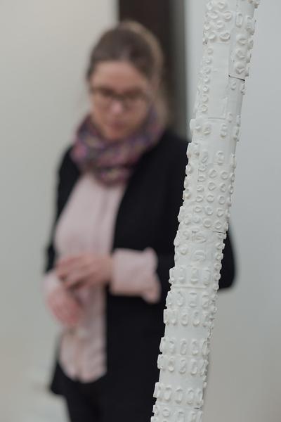 Veronika Suschnig: Drugtales (1.3. - 6.4.2018, Eröffnung) https://esel.at/termin/95121 | Foto: eSeL.at - Joanna Pianka