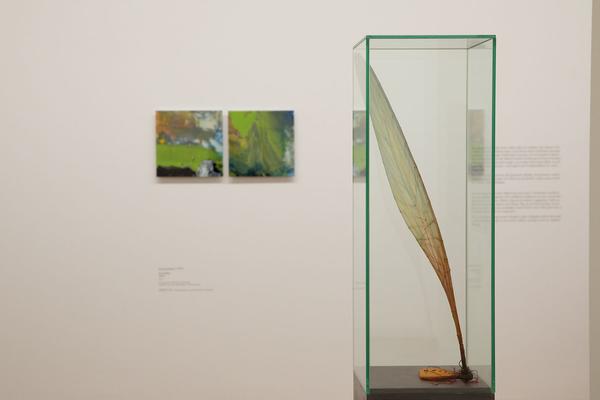 Albertina: Walter Schmögner. Skulpturen & Objekte (8.11.2018 - 10.2.2019) https://esel.at/termin/98913 | Foto: eSeL Foto: eSeL.at - Lorenz Seidler