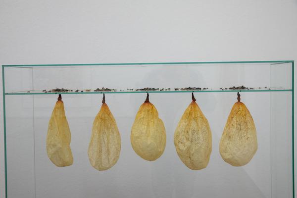 Albertina: Walter Schmögner. Skulpturen & Objekte (8.11.2018 - 10.2.2019) https://esel.at/termin/98913 | Foto: eSeL Foto: eSeL.at - Lorenz Seidler