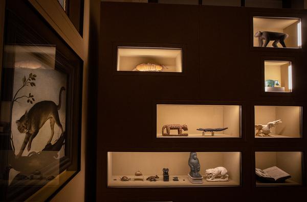 KHM: Wes Anderson and Juman Malouf: Spitzmaus Mummy in a Coffin and Other Treasures (5.11.2018 - 28.4.2019) https://esel.at/termin/98848 | Foto: eSeL Foto: eSeL.at - Lorenz Seidler