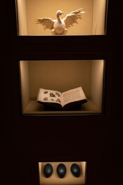 KHM: Wes Anderson and Juman Malouf: Spitzmaus Mummy in a Coffin and Other Treasures (5.11.2018 - 28.4.2019) https://esel.at/termin/98848 | Foto: eSeL Foto: eSeL.at - Lorenz Seidler