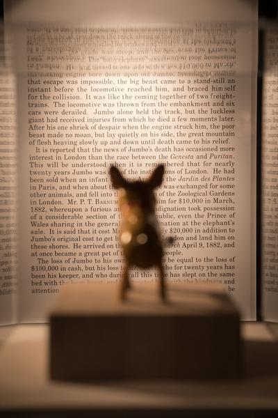 Kunsthalle Wien: Ydessa Hendeles - Death to Pigs (28.2. - 27.5.2018, Eröffnung) http://www.kunsthallewien.at/#/de/ausstellungen/ydessa-hendeles-death-pigs | Foto: eSeL Foto: eSeL.at - Lorenz Seidler