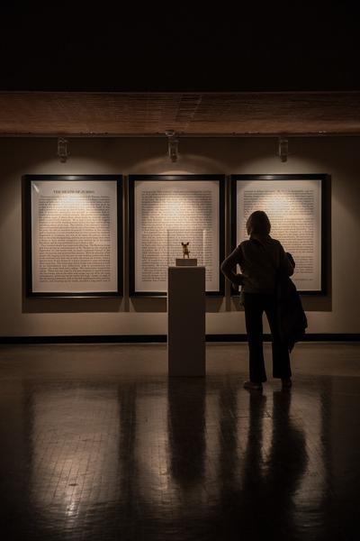 Kunsthalle Wien: Ydessa Hendeles - Death to Pigs (28.2. - 27.5.2018, Eröffnung) http://www.kunsthallewien.at/#/de/ausstellungen/ydessa-hendeles-death-pigs | Foto: eSeL Foto: eSeL.at - Lorenz Seidler