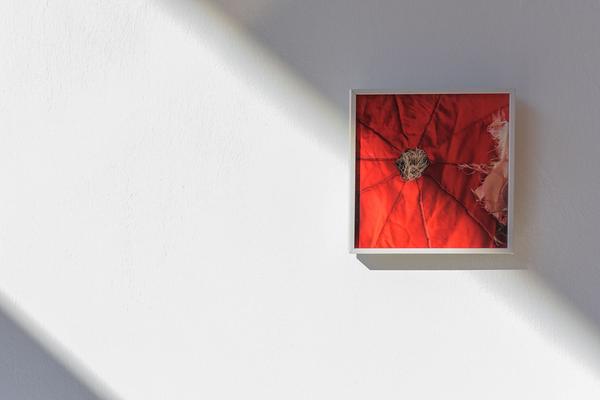 Galerie 3 Velden: Törn 2 (4.7. - 11.8.2019)  https://esel.at/termin/102359 | Foto: eSeL.at - Joanna Pianka Foto: eSeL.at - Joanna Pianka
