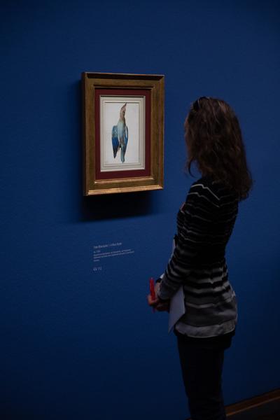 Albertina: Albrecht Dürer (20.9. - 6.1.2019) https://www.albertina.at/ausstellungen/albrecht-duerer/ | Foto: eSeL Foto: eSeL.at - Lorenz Seidler