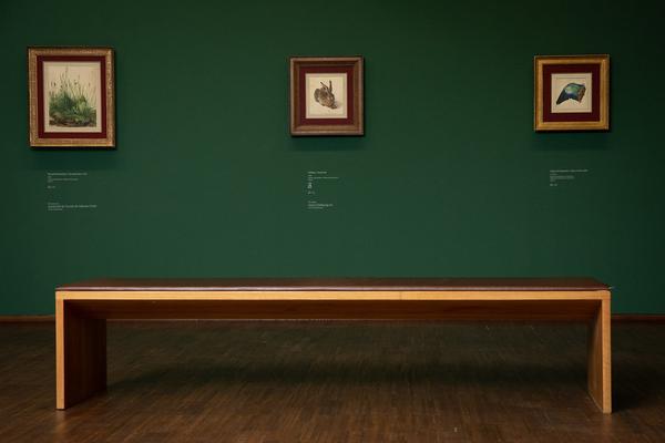 Albertina: Albrecht Dürer (20.9. - 6.1.2019) https://www.albertina.at/ausstellungen/albrecht-duerer/ | Foto: eSeL Foto: eSeL.at - Lorenz Seidler