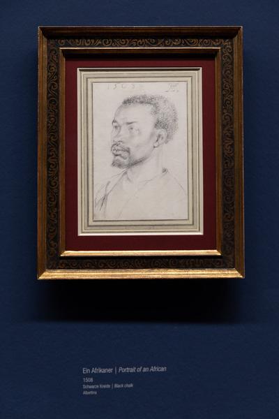 Albertina: Albrecht Dürer (20.9. - 6.1.2019) https://www.albertina.at/ausstellungen/albrecht-duerer/ | Foto: eSeL Foto: eSeL.at - Lorenz Seidler
