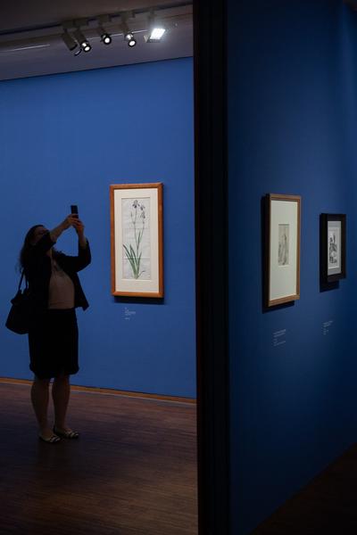 Albertina: Albrecht Dürer (20.9. - 6.1.2019) https://www.albertina.at/ausstellungen/albrecht-duerer/ | Foto: eSeL Foto: eSeL.at - Lorenz Seidler