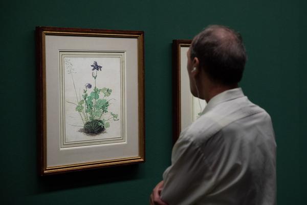 Albertina: Albrecht Dürer (20.9. - 6.1.2019) https://www.albertina.at/ausstellungen/albrecht-duerer/ | Foto: eSeL Foto: eSeL.at - Lorenz Seidler