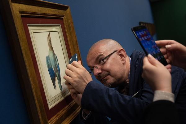 Albertina: Albrecht Dürer (20.9. - 6.1.2019) https://www.albertina.at/ausstellungen/albrecht-duerer/ | Foto: eSeL Foto: eSeL.at - Lorenz Seidler