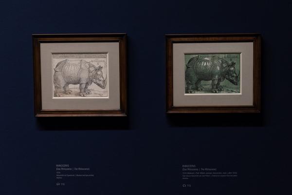 Albertina: Albrecht Dürer (20.9. - 6.1.2019) https://www.albertina.at/ausstellungen/albrecht-duerer/ | Foto: eSeL Foto: eSeL.at - Lorenz Seidler