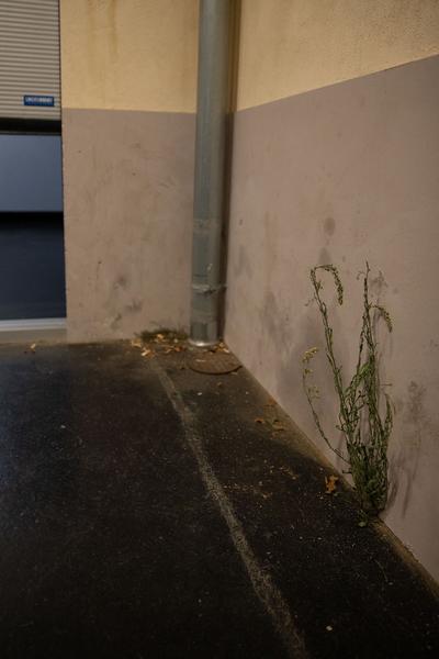  Foto: eSeL.at - Lorenz Seidler