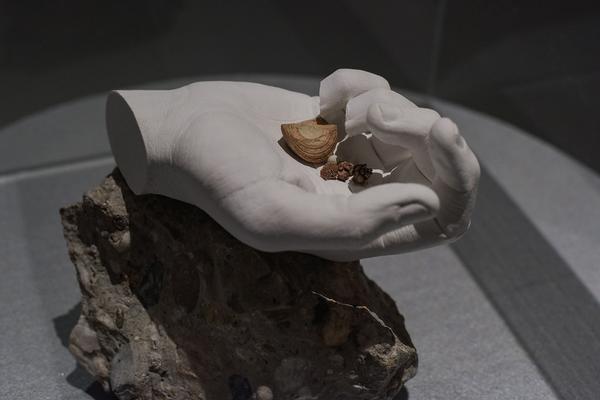 Universität für Angewandte Kunst Wien: Understanding Art & Research (MAK, 28.6.2019, Eröffnung) https://esel.cc/understanding_art-research | Foto: eSeL.at - Joanna Pianka