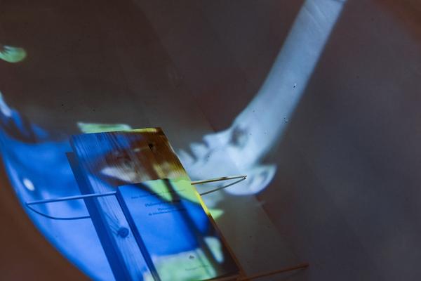 Universität für Angewandte Kunst Wien: Understanding Art & Research (MAK, 28.6.2019, Eröffnung) https://esel.cc/understanding_art-research | Foto: eSeL.at - Joanna Pianka