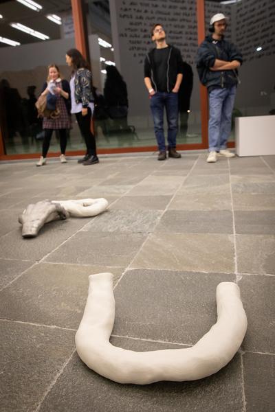 Belvedere 21: Über das Neue. Junge Szenen in Wien (1.3. - 2.6.2019, Eröffnung) https://www.belvedere21.at/ueber_das_neue  | Foto: eSeL Foto: eSeL.at - Lorenz Seidler