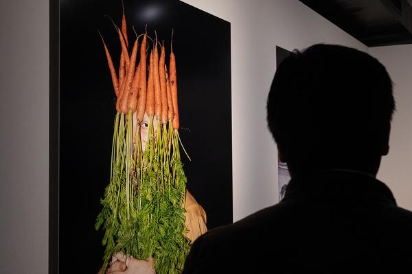 Kunst Haus Wien: Über Land Leben (23.03.-25.08.19) http://www.kunsthauswien.com/de/ausstellungen/uber-leben-am-land | Foto: eSeL Foto: eSeL.at - Lorenz Seidler
