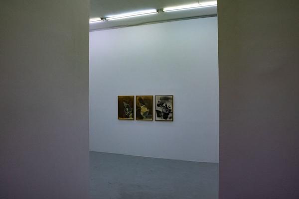 Galerie Hubert Winter: Birgit Jürgenssen (17.1. - 16.2.2019) https://esel.at/termin/99895/birgit-jurgenssen | Foto: eSeL Foto: eSeL.at - Lorenz Seidler