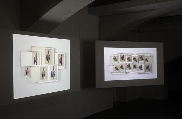 das weisse haus: Camera Lucida (20.02. – 30.03.2019) https://esel.cc/dwh_CameraLucida | Foto: eSeL Foto: eSeL.at - Lorenz Seidler