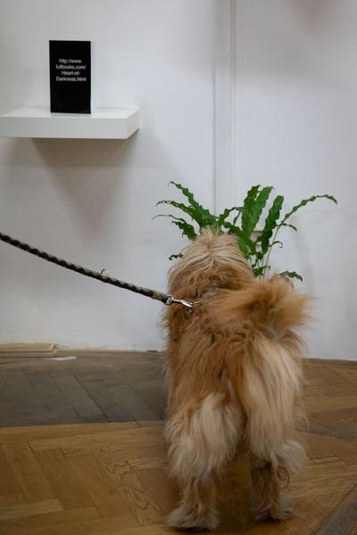 das weisse haus: Republished - Questioning Boundaries (20.02. – 30.03.2019, Eröffnung) http://www.dasweissehaus.at | Foto: eSeL Foto: eSeL.at - Lorenz Seidler