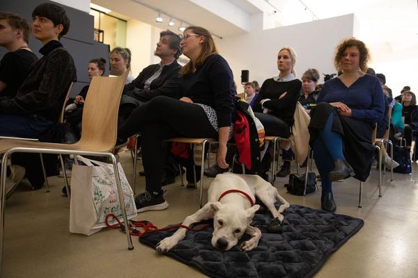 Kunstraum Niederösterreich: Care Matters. Marlies Pöschl - Lecture-Performance & Podiumsdiskussion (10.5.2019) https://esel.cc/CareMatters | Foto: eSeL Foto: eSeL.at - Lorenz Seidler