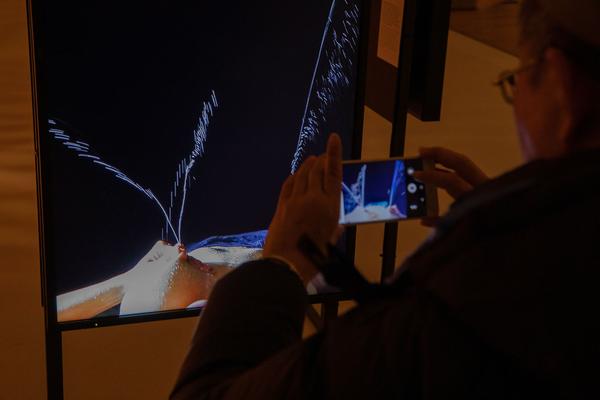 MAK: Chinese Whispers. Neue Kunst aus der Sigg Collection (30.1. - 26.5.2019, Pressekonferenz) https://mak.at/chinesewhispers | Foto: eSeL Foto: eSeL.at - Lorenz Seidler